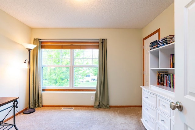 4960 149th St N Unit 6, Hugo, MN 55038 - home office with a textured ceiling, carpet floors, and baseboards