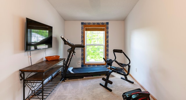 4960 149th St N Unit 6, Hugo, MN 55038 - workout room featuring carpet and baseboards
