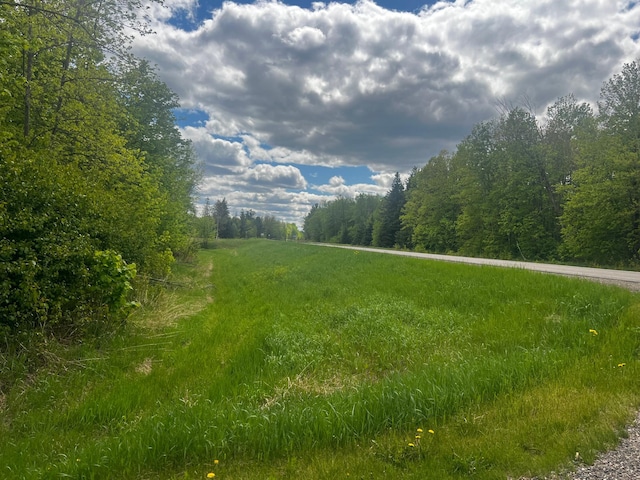 TBD State Highway 65, Ball Bluff Twp, MN 55752