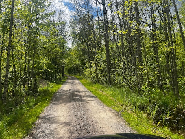 TBD State Highway 65, Ball Bluff Twp, MN 55752