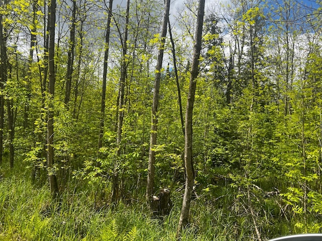 TBD State Highway 65, Ball Bluff Twp, MN 55752
