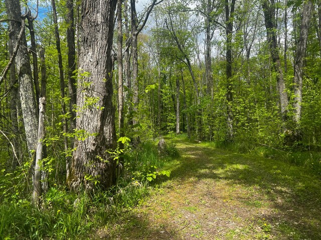 TBD State Highway 65, Ball Bluff Twp, MN 55752