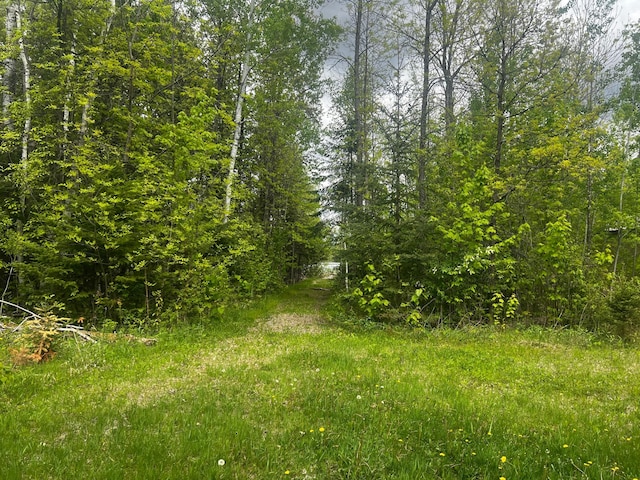 TBD State Highway 65, Ball Bluff Twp, MN 55752