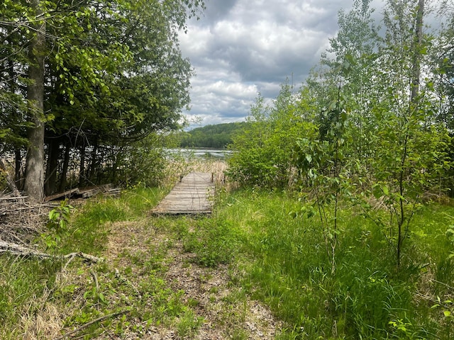 TBD State Highway 65, Ball Bluff Twp, MN 55752