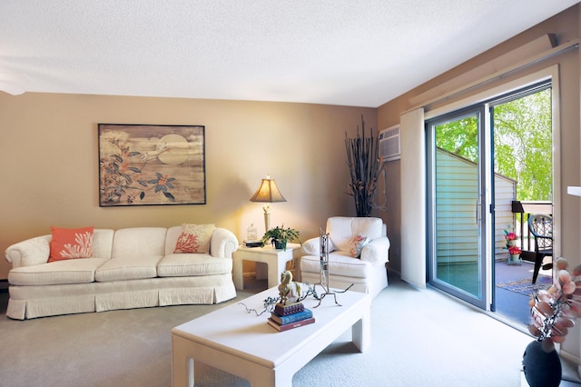 1825 Perlich Ave Unit 206, Red Wing, MN 55066 - carpeted living area featuring a textured ceiling