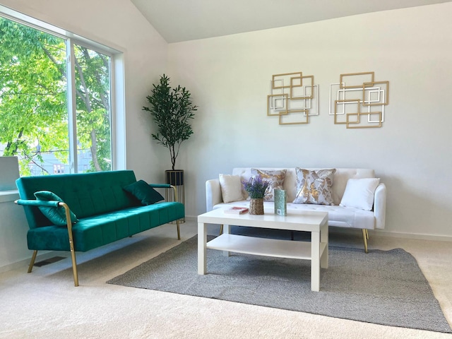 826 Sims Ave, Saint Paul, MN 55106 - living area with carpet and baseboards