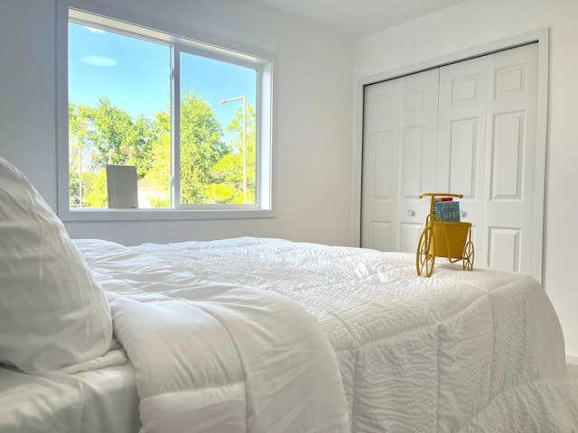 826 Sims Ave, Saint Paul, MN 55106 - bedroom with multiple windows and a closet