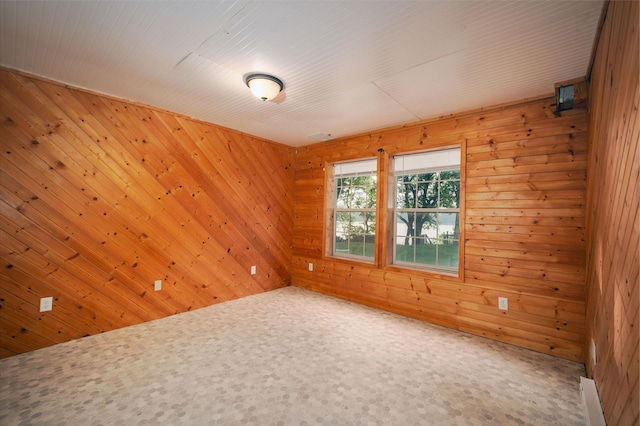 614 S Shore Dr S, Windom, MN 56101 - carpeted empty room featuring wooden walls