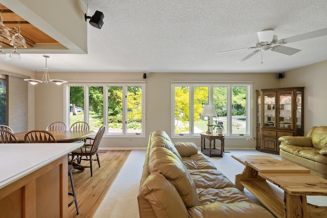 17915 17th Ave N, Plymouth, MN 55447 - living area with a textured ceiling, light wood-style flooring, and a ceiling fan
