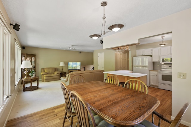 17915 17th Ave N, Plymouth, MN 55447 - dining area featuring light wood-type flooring, ceiling fan, plenty of natural light, and a textured ceiling