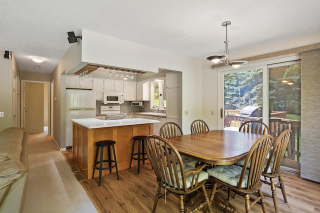 17915 17th Ave N, Plymouth, MN 55447 - dining room featuring light wood-style flooring and a textured ceiling