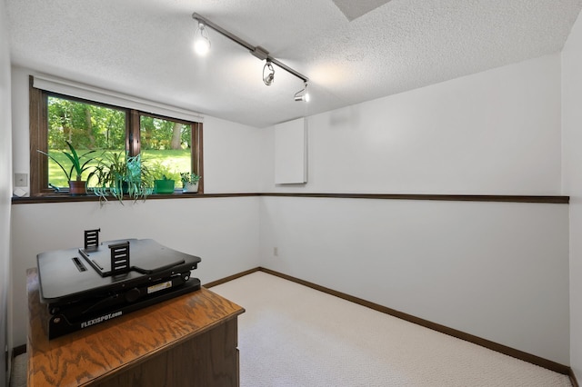 17915 17th Ave N, Plymouth, MN 55447 - office area featuring track lighting, carpet flooring, a textured ceiling, and baseboards