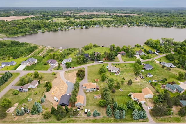 28610 Bay Shore Dr NW, Isanti, MN 55040 - aerial view of a large body of water and a forest