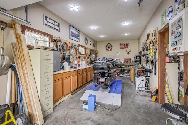 28610 Bay Shore Dr NW, Isanti, MN 55040 - miscellaneous room with a workshop area, concrete flooring, and a textured ceiling