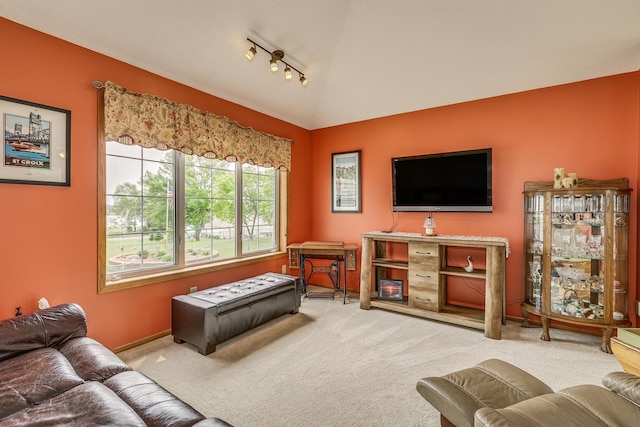 28610 Bay Shore Dr NW, Isanti, MN 55040 - carpeted living area featuring track lighting, vaulted ceiling, and baseboards