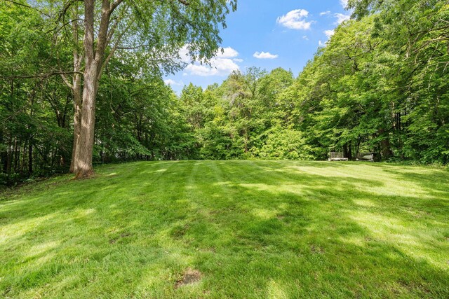 8150 Wildwood Rd, Laketown Twp, MN 55387 - view of green lawn with a wooded view