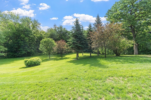 8150 Wildwood Rd, Laketown Twp, MN 55387 - view of grassy yard