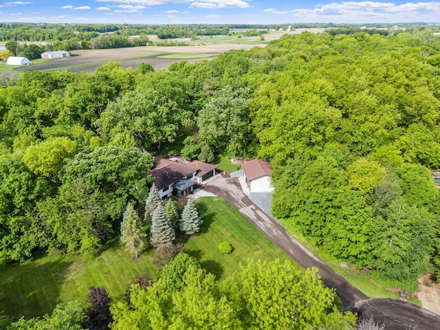 8150 Wildwood Rd, Laketown Twp, MN 55387 - drone / aerial view