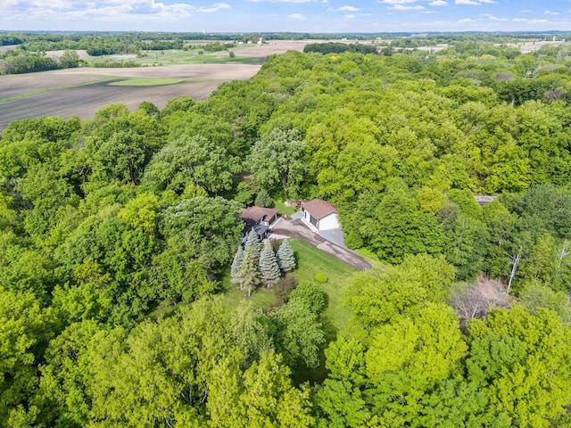 8150 Wildwood Rd, Laketown Twp, MN 55387 - bird's eye view of a forest