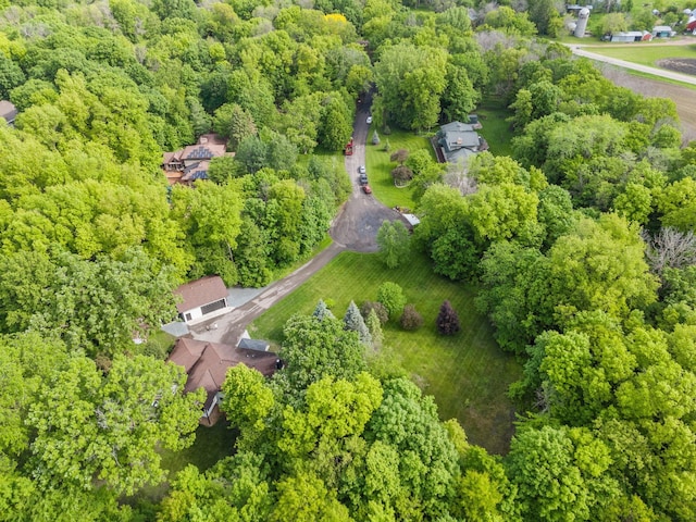 8150 Wildwood Rd, Laketown Twp, MN 55387 - drone / aerial view of a heavily wooded area