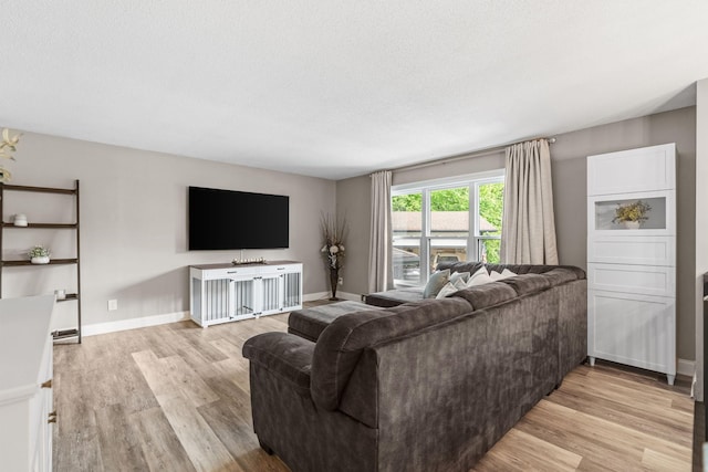8150 Wildwood Rd, Laketown Twp, MN 55387 - living area with light wood-style flooring, a textured ceiling, and baseboards