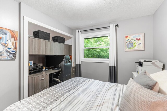 8150 Wildwood Rd, Laketown Twp, MN 55387 - bedroom featuring a textured ceiling