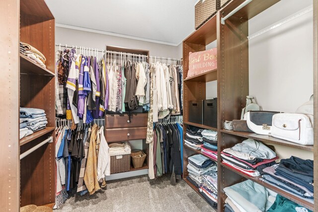 8150 Wildwood Rd, Laketown Twp, MN 55387 - walk in closet with carpet floors