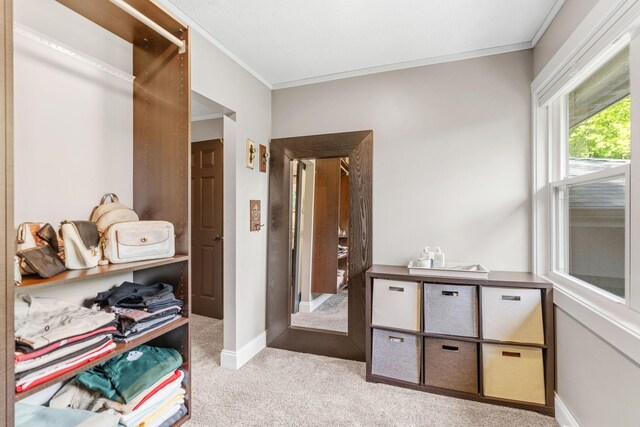 8150 Wildwood Rd, Laketown Twp, MN 55387 - bedroom featuring ornamental molding, light colored carpet, and baseboards
