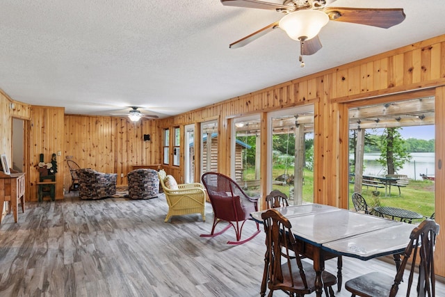 218 9 1/4 Ave, Turtle Lake, WI 54004 - dining area with a ceiling fan, healthy amount of natural light, wood walls, wood finished floors, and a textured ceiling