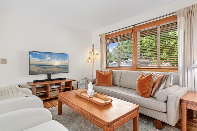 6224 Nathan Ln N, Maple Grove, MN 55369 - living room featuring wood finished floors