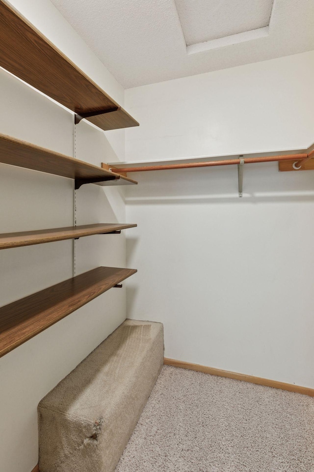 8379 Corcoran Cir Unit 47, Inver Grove Heights, MN 55076 - spacious closet with carpet and attic access