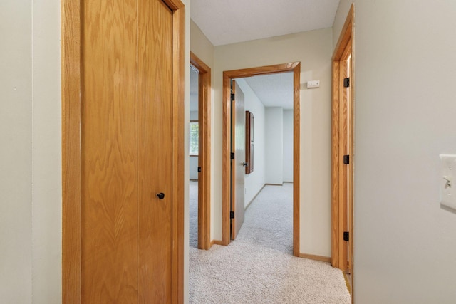 8379 Corcoran Cir Unit 47, Inver Grove Heights, MN 55076 - hall featuring light carpet and baseboards