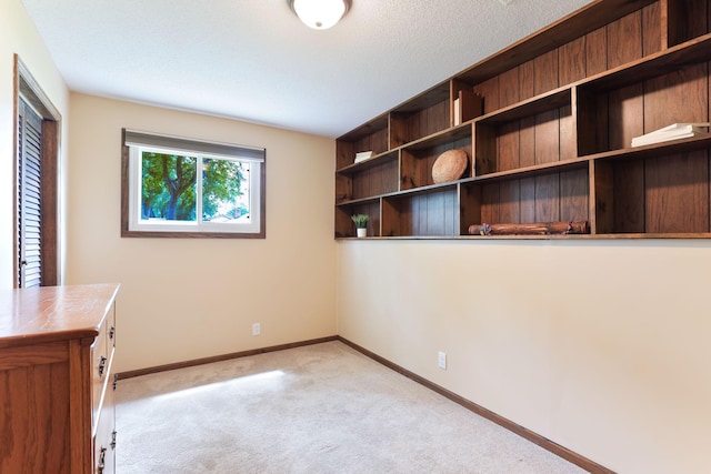 10432 102nd Pl, Maple Grove, MN 55369 - unfurnished bedroom with light colored carpet and baseboards