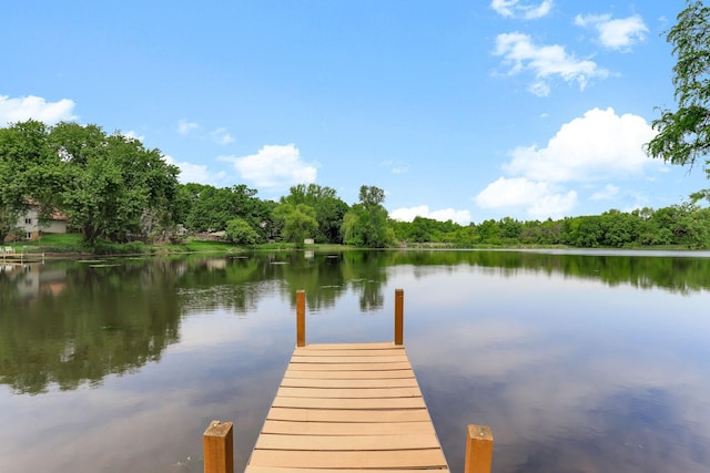 10432 102nd Pl, Maple Grove, MN 55369 - dock area featuring a water view