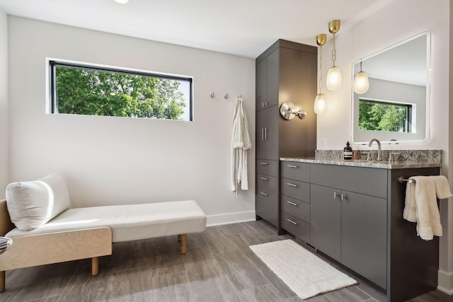 bathroom with healthy amount of natural light, baseboards, vanity, and wood finished floors
