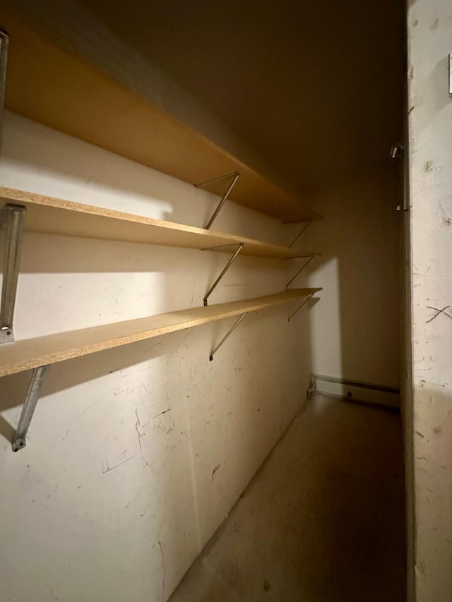 10441 Greenbrier Rd Unit 315, Minnetonka, MN 55305 - view of storage room