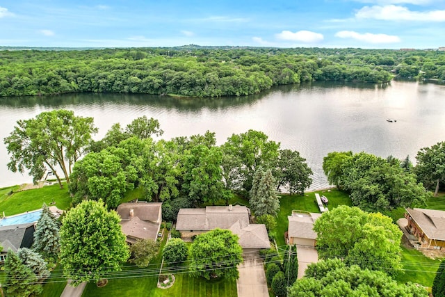 451 Reflection Rd, Apple Valley, MN 55124 - aerial view of a large body of water and a heavily wooded area