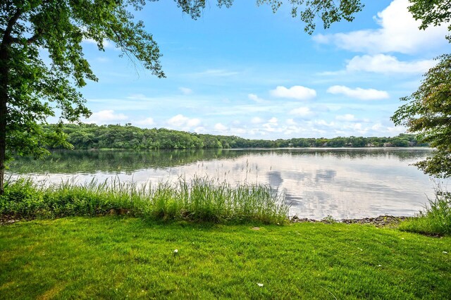 451 Reflection Rd, Apple Valley, MN 55124 - water view