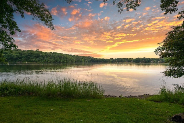 451 Reflection Rd, Apple Valley, MN 55124 - water view