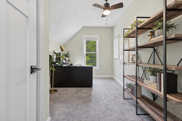 406 Mulberry St W, Stillwater, MN 55082 - office space with carpet flooring, lofted ceiling, a ceiling fan, baseboards, and a textured ceiling