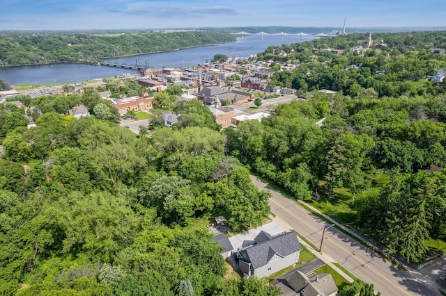 406 Mulberry St W, Stillwater, MN 55082 - aerial view of a large body of water, a notable bridge, and a forest