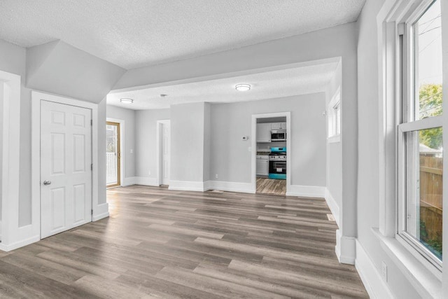 1912 15th Ave N, Minneapolis, MN 55411 - unfurnished room featuring a textured ceiling, plenty of natural light, wood finished floors, and baseboards