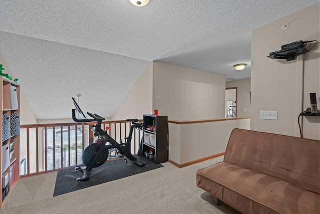 367 Ojibway Path, Lino Lakes, MN 55014 - exercise room with a textured ceiling, carpet flooring, and baseboards