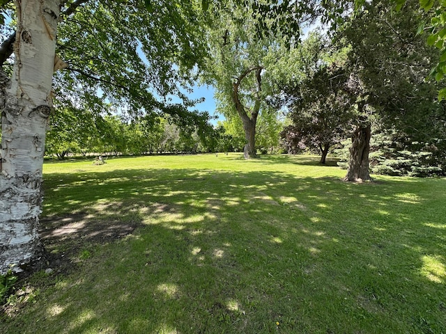 14390 Sperry Lake Rd, Harrison Twp, MN 56209 - view of green lawn