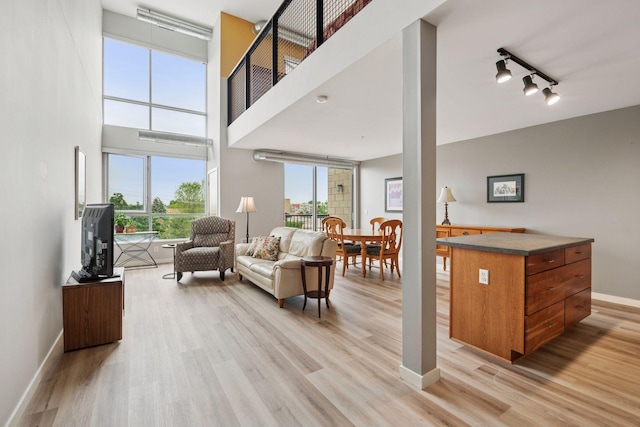 1829 3rd Ave S Unit 212, Minneapolis, MN 55404 - living area featuring light wood-type flooring, baseboards, track lighting, and a high ceiling