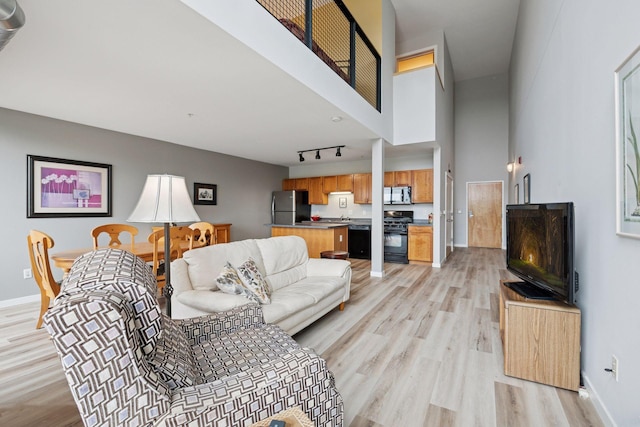 1829 3rd Ave S Unit 212, Minneapolis, MN 55404 - living area with light wood finished floors, track lighting, baseboards, and a towering ceiling