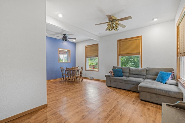 455 Bluff St NE, Hutchinson, MN 55350 - photo 9