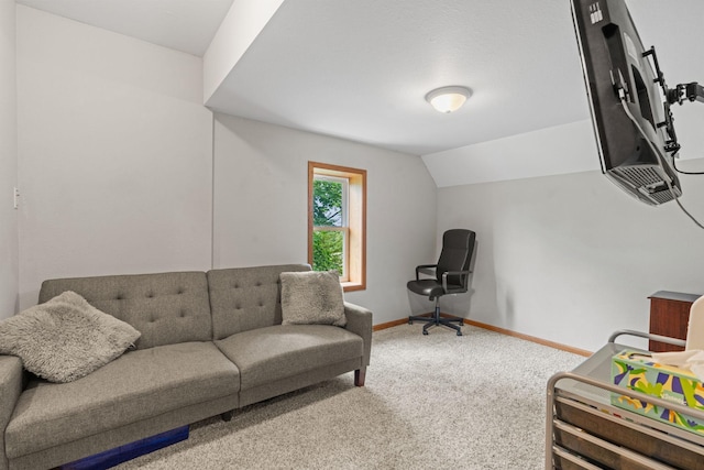 455 Bluff St NE, Hutchinson, MN 55350 - photo 24