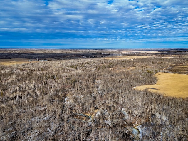 TBD Cormant Rd NE, Kelliher, MN 56650