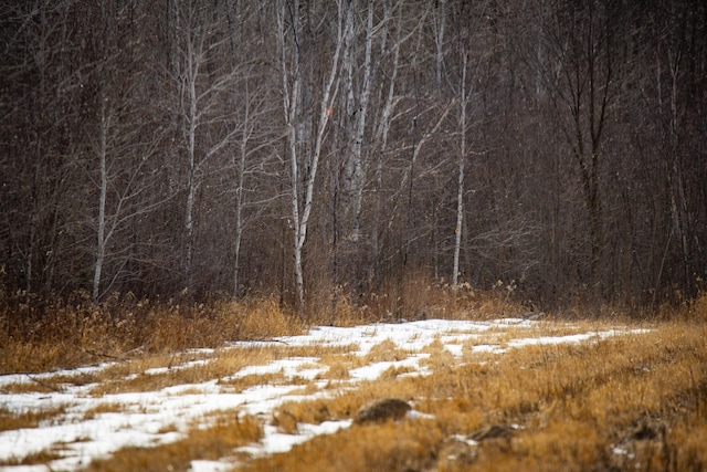 TBD Cormant Rd NE, Kelliher, MN 56650